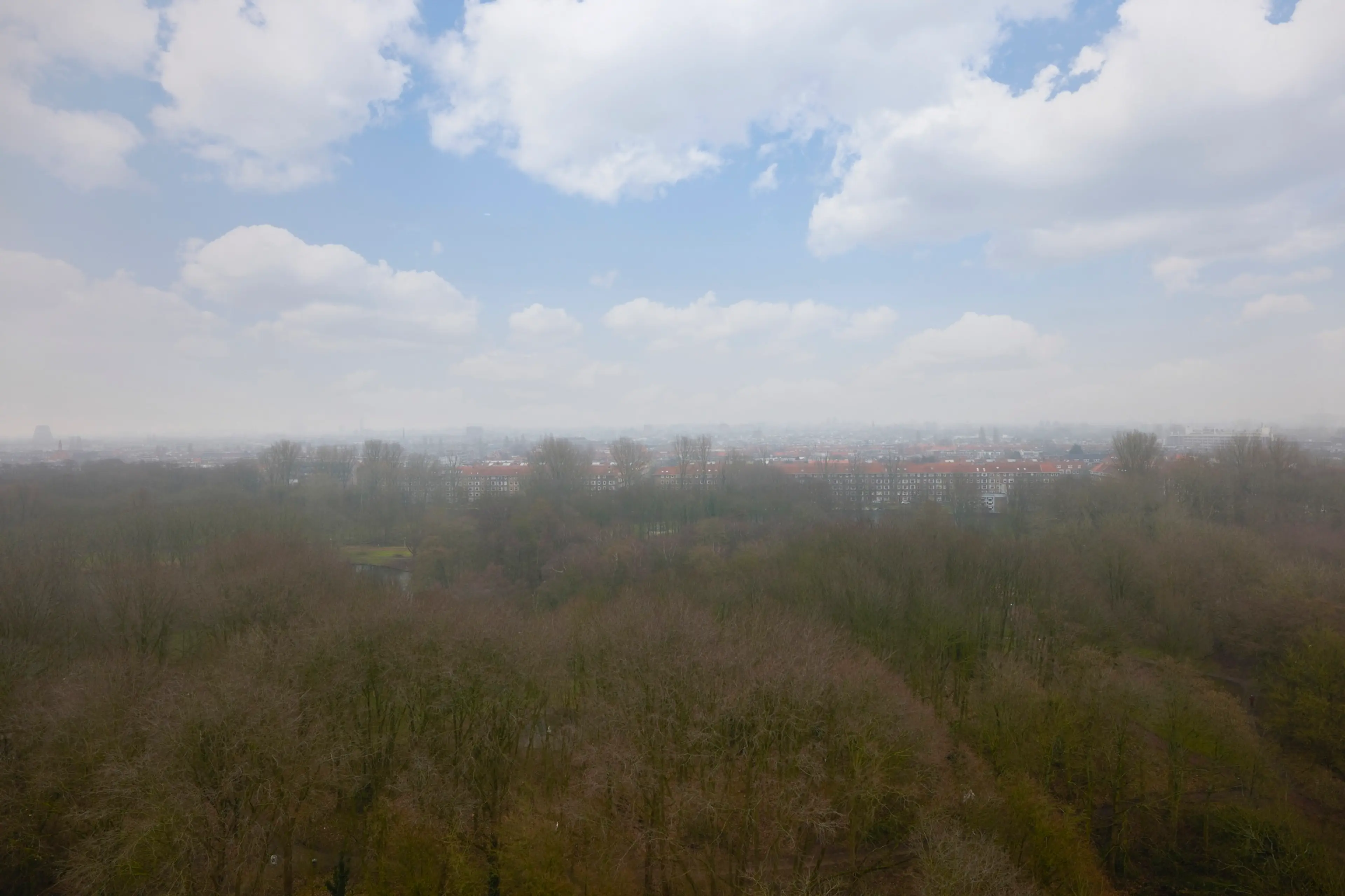fecda85d-945b-4cf1-a68d-bd921ec85085.jpeg